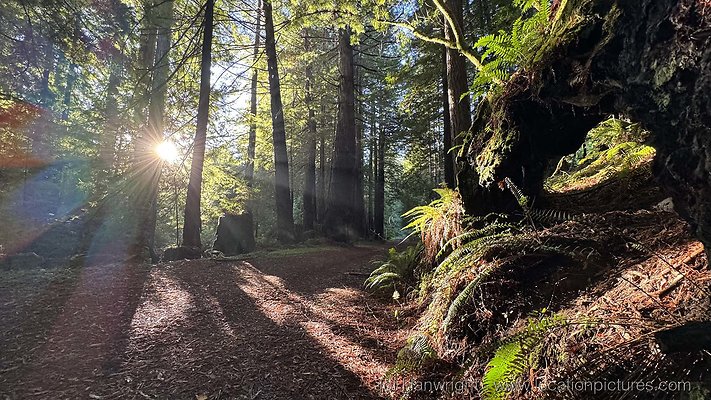 IMG 0381 - All rights reserved. Any use or reproduction only by written permission of owner. IMG 0381 - All rights reserved. Any use or reproduction only by written permission of owner.