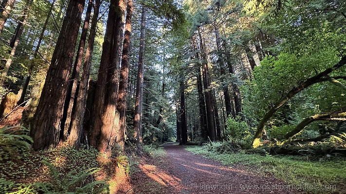 IMG 0389 - All rights reserved. Any use or reproduction only by written permission of owner. IMG 0389 - All rights reserved. Any use or reproduction only by written permission of owner.