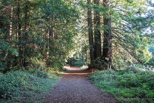 willow creek lower willow creek lower