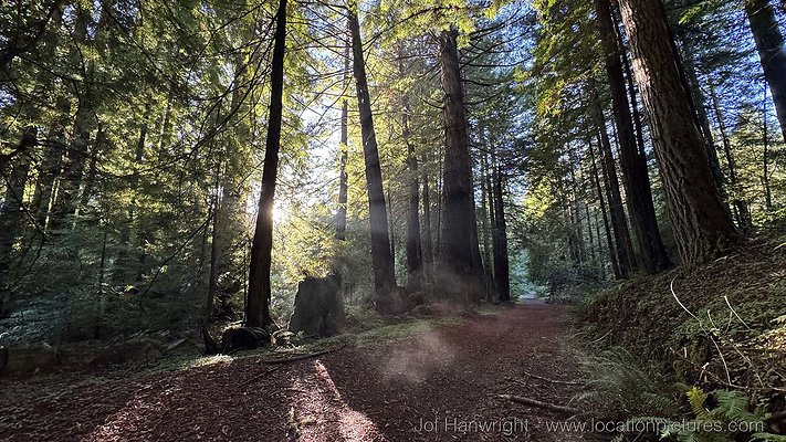 IMG 0383 - All rights reserved. Any use or reproduction only by written permission of owner. IMG 0383 - All rights reserved. Any use or reproduction only by written permission of owner.