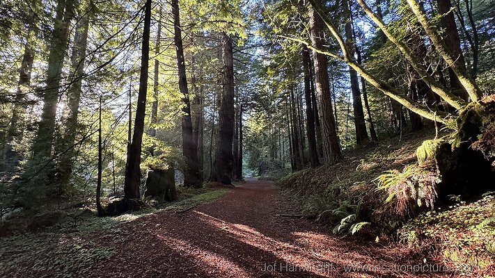 IMG 0385 - All rights reserved. Any use or reproduction only by written permission of owner. IMG 0385 - All rights reserved. Any use or reproduction only by written permission of owner.