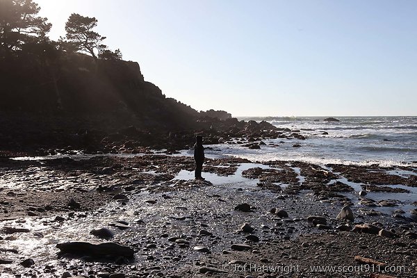 ocean cove ocean cove