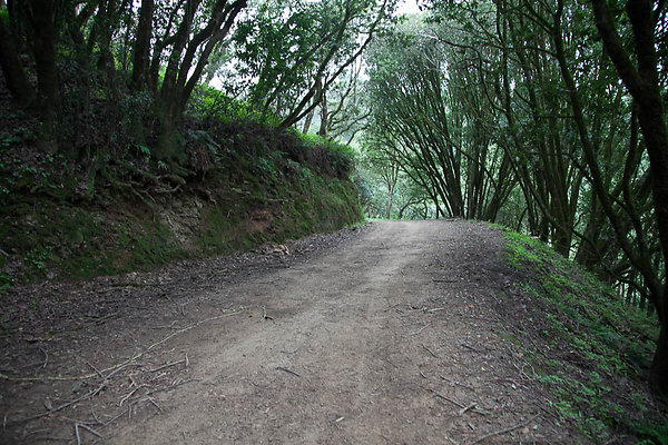 IMG 5342-5 IMG 5342-5