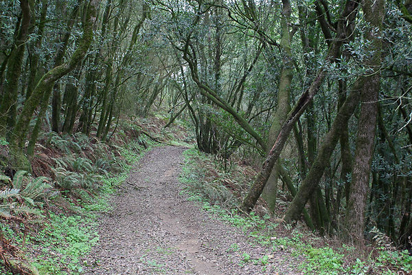 IMG 5505-29 IMG 5505-29