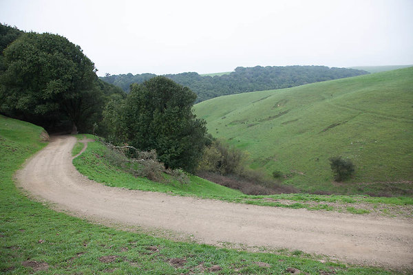 IMG 5436-15 IMG 5436-15