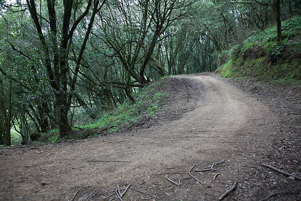 IMG 5330-2 IMG 5330-2