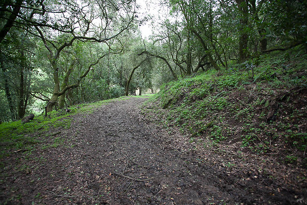 IMG 5492-26 IMG 5492-26