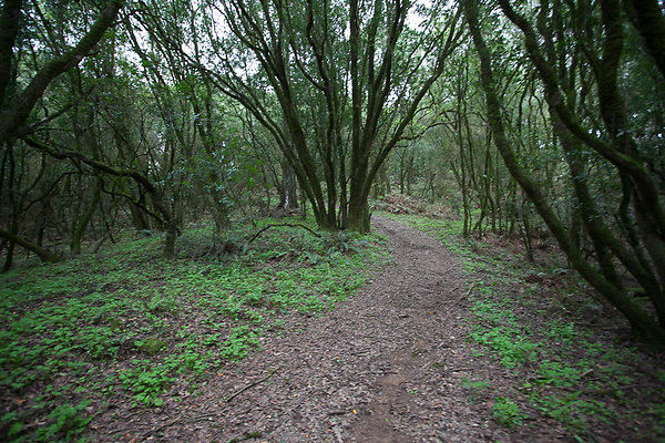 IMG 5513-31 IMG 5513-31