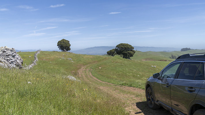 tresch ranch tresch ranch