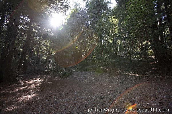 union grove union grove