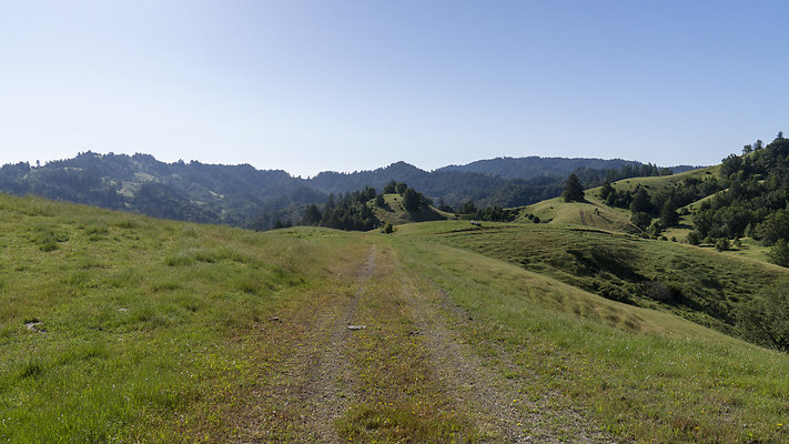 mann ranch mann ranch