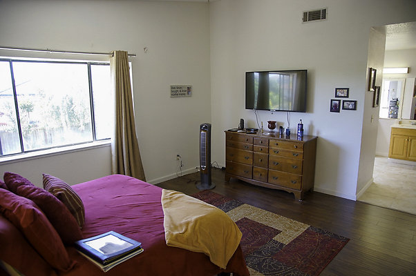 191lippizanvallejo - 20 191lippizanvallejo - 20