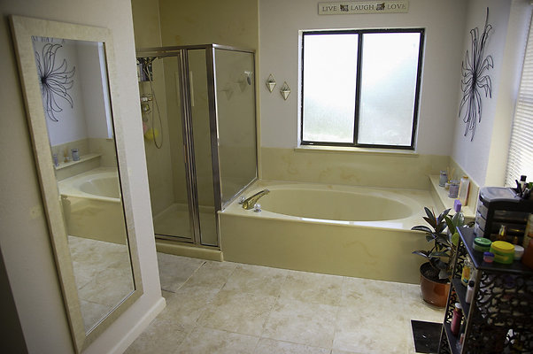 191lippizanvallejo - 22 191lippizanvallejo - 22