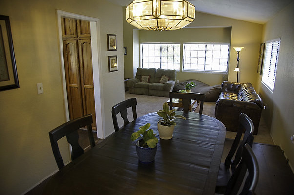 191lippizanvallejo - 9 191lippizanvallejo - 9