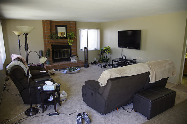 191lippizanvallejo - 15 191lippizanvallejo - 15