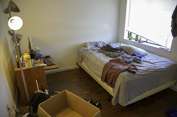 191lippizanvallejo - 26 191lippizanvallejo - 26