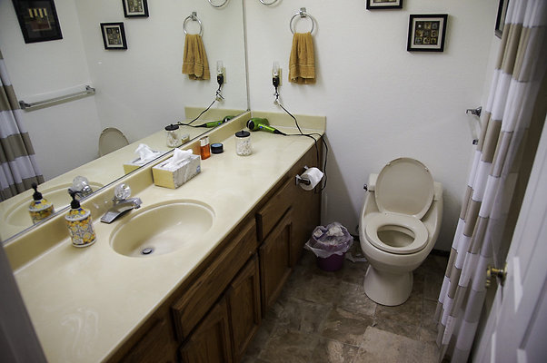 191lippizanvallejo - 23 191lippizanvallejo - 23