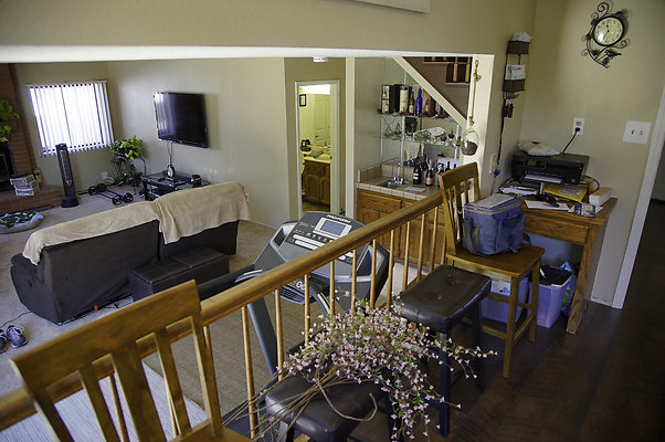 191lippizanvallejo - 13 191lippizanvallejo - 13