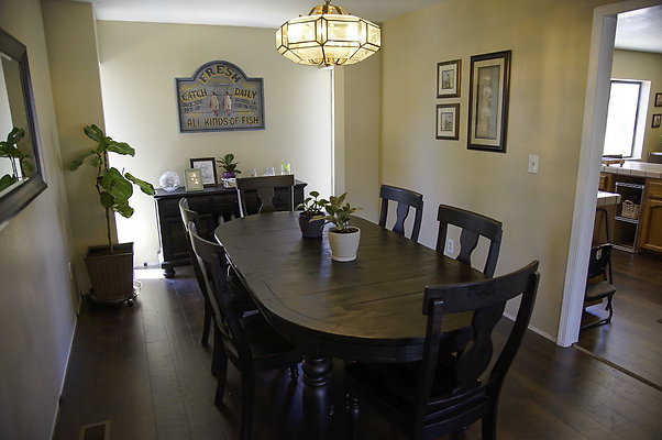 191lippizanvallejo - 8 191lippizanvallejo - 8