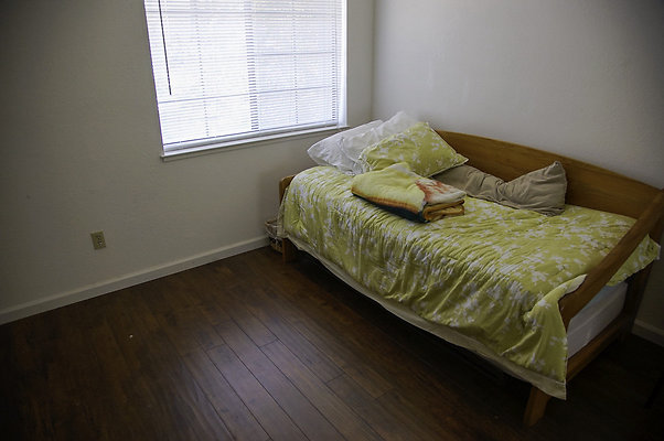 191lippizanvallejo - 24 191lippizanvallejo - 24