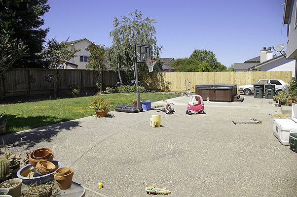 191lippizanvallejo - 28 191lippizanvallejo - 28