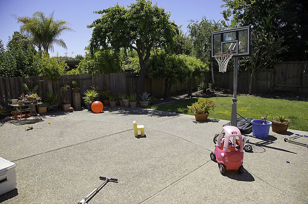 191lippizanvallejo - 27 191lippizanvallejo - 27