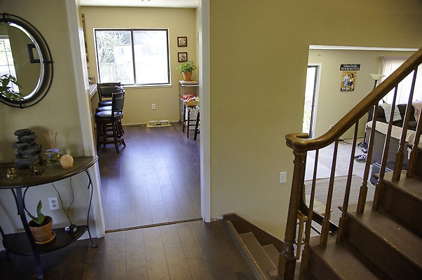 191lippizanvallejo - 5 191lippizanvallejo - 5