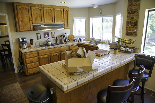 191lippizanvallejo - 11 191lippizanvallejo - 11