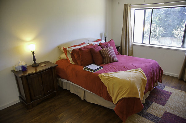 191lippizanvallejo - 19 191lippizanvallejo - 19