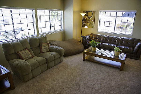 191lippizanvallejo - 6 191lippizanvallejo - 6