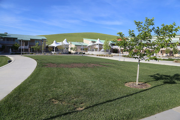 americancanyonhigh - 62 americancanyonhigh - 62