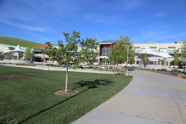 americancanyonhigh - 61 americancanyonhigh - 61