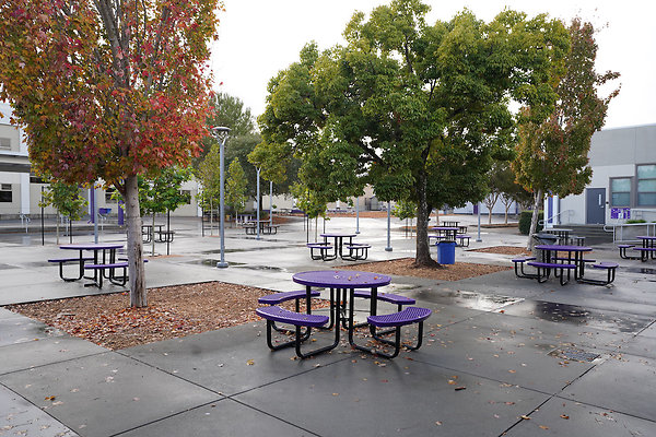 petalumahighinteriors - 4 petalumahighinteriors - 4