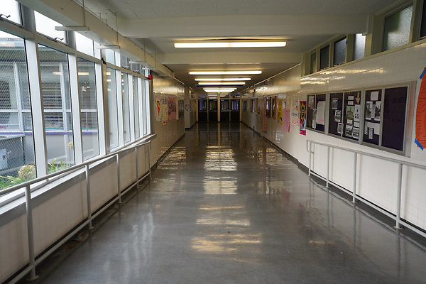 petalumahighinteriors - 9 petalumahighinteriors - 9