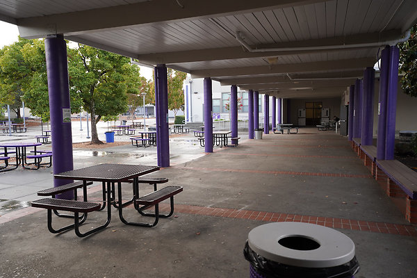 petalumahighinteriors - 3 petalumahighinteriors - 3