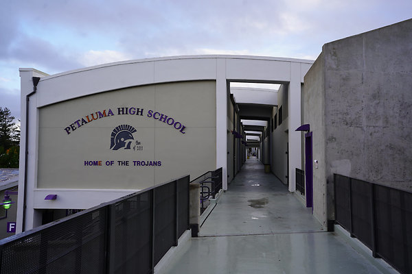 petalumahighinteriors - 32 petalumahighinteriors - 32