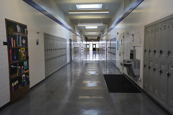 petalumahighinteriors - 22 petalumahighinteriors - 22