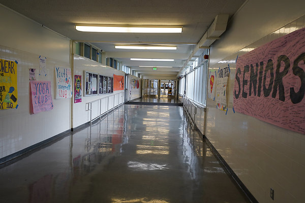 petalumahighinteriors - 8 petalumahighinteriors - 8