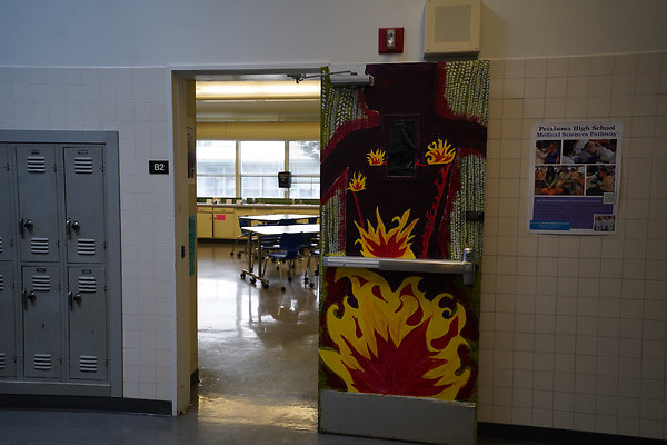 petalumahighinteriors - 13 petalumahighinteriors - 13