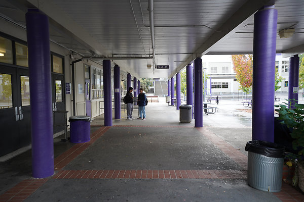 petalumahighinteriors - 2 petalumahighinteriors - 2