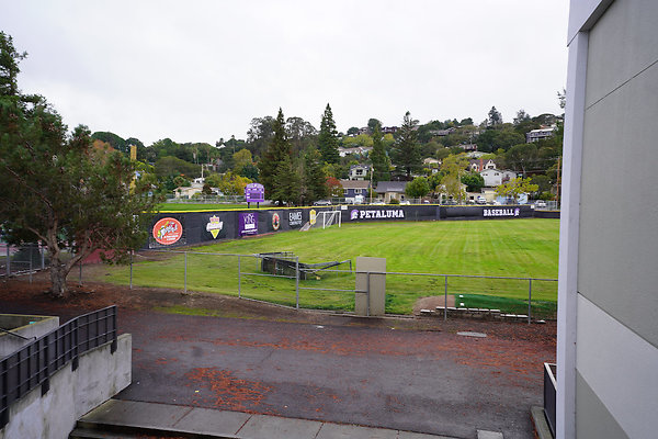 petalumahighinteriors - 34 petalumahighinteriors - 34