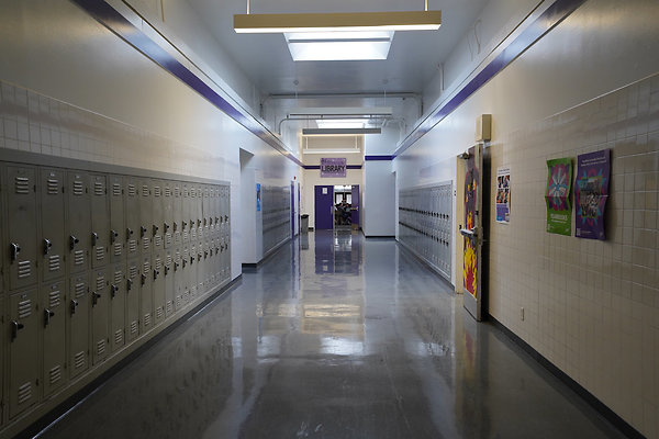 petalumahighinteriors - 11 petalumahighinteriors - 11