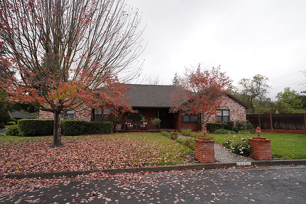 franquelinsonoma - 3 franquelinsonoma - 3