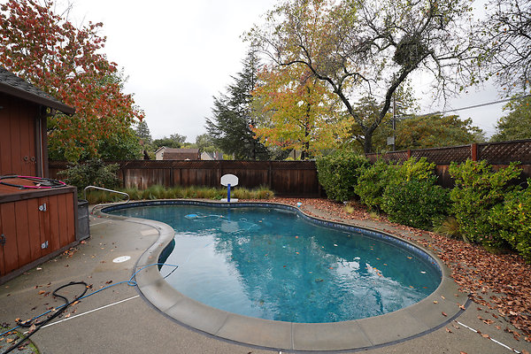 franquelinsonoma - 27 franquelinsonoma - 27