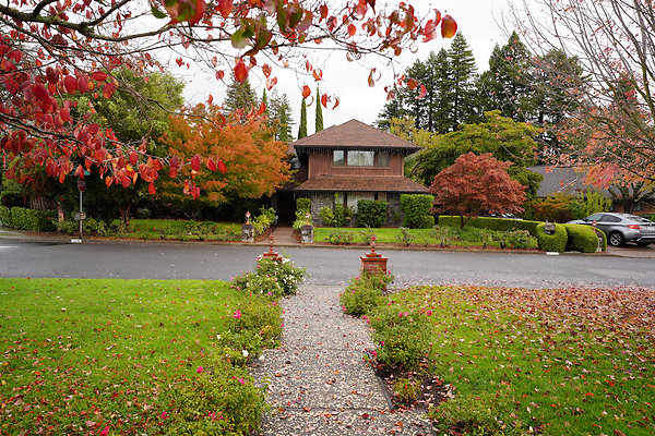 franquelinsonoma - 11 franquelinsonoma - 11