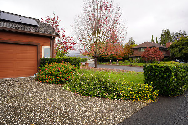 franquelinsonoma - 16 franquelinsonoma - 16