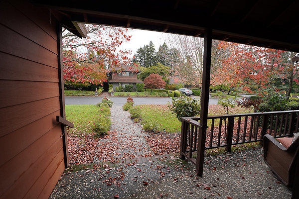 franquelinsonoma - 10 franquelinsonoma - 10