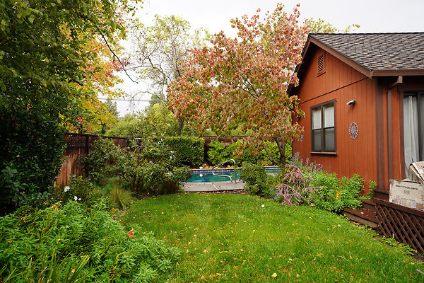 franquelinsonoma - 23 franquelinsonoma - 23