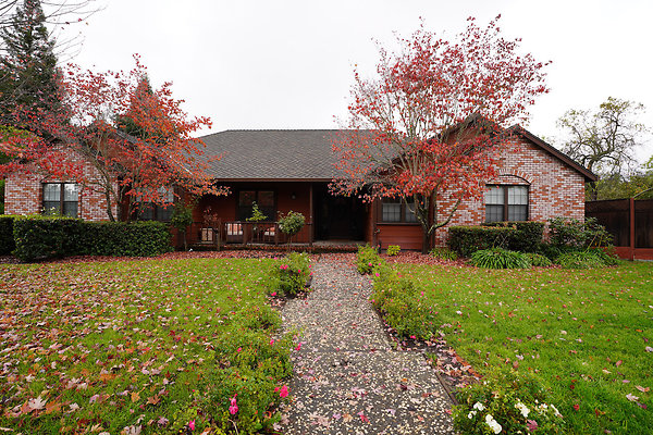 franquelinsonoma - 4 franquelinsonoma - 4