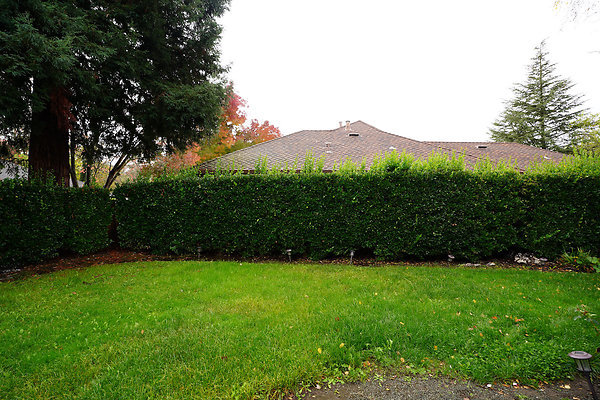 franquelinsonoma - 17 franquelinsonoma - 17